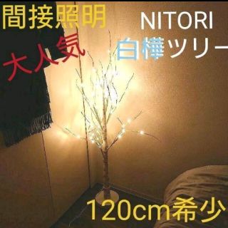 ニトリ(ニトリ)の通年インテリア【美品】白樺ツリー ニトリ ／クリスマス照明 間接 スポットライト(蛍光灯/電球)