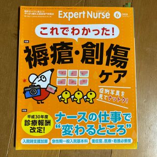 Expert Nurse (エキスパートナース) 2018年 06月号(専門誌)