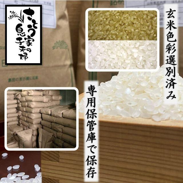 令和２年　山形県庄内産　食べ比べセット　玄米１０ｋｇ　Ｇセレクション 2