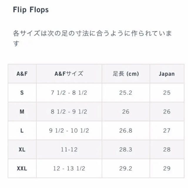 Abercrombie&Fitch(アバクロンビーアンドフィッチ)の新品❣️ラスト1❣️紙袋つき❣️アバクロ26センチ ネイビー メンズの靴/シューズ(サンダル)の商品写真