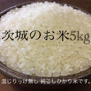 茨城産コシヒカリ　5kg(米/穀物)