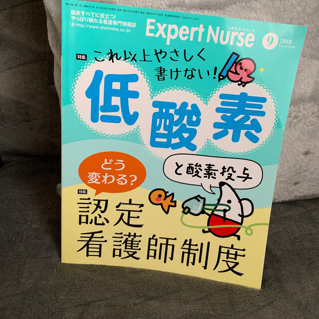 Expert Nurse (エキスパートナース) 2018年 09月号 エンタメ/ホビーの雑誌(専門誌)の商品写真