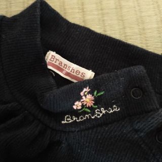 ブランシェス(Branshes)のBranshes(ニット/セーター)