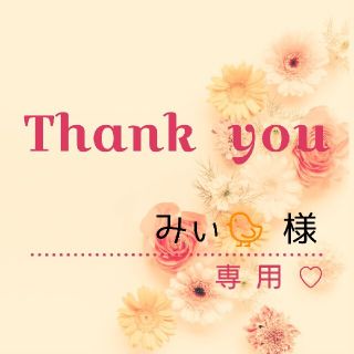 みぃ🐤 様専用(その他)