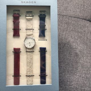 スカーゲン(SKAGEN)の腕時計(腕時計)