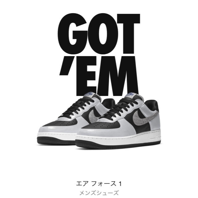 NIKE - NIKE エアフォース 1 シルバースネーク 黒蛇 28.0cmの通販 by ...