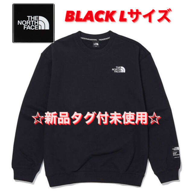 THE NORTH FACE(ザノースフェイス)の☆日本未発売☆ ノースフェイス クルーネック スウェット　Ｌサイズ メンズのトップス(スウェット)の商品写真