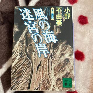 十二国記   風の海迷宮の岸 (文学/小説)