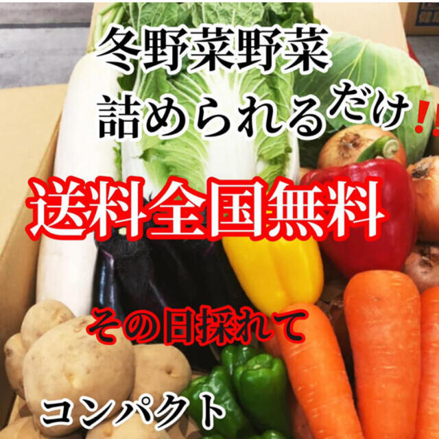 激安❗️おまかせ農家直送野菜コンパクト入る分だけ詰めます送料無料 食品/飲料/酒の食品(野菜)の商品写真