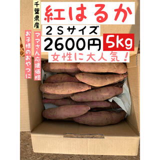 千葉県産サツマイモ　熟成紅はるか　2S 5kg(野菜)