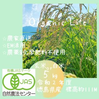 【無農薬/令和2年度のお米5㎏/約33合】✨有機JAS認証✨EM✨コシヒカリ✨(米/穀物)