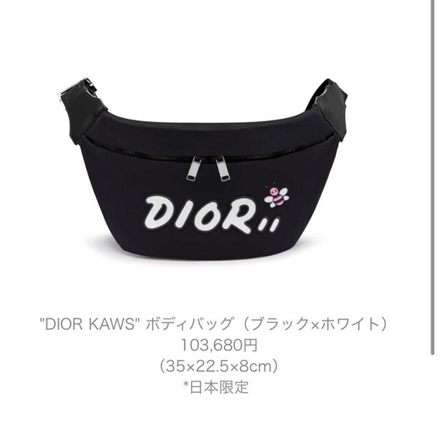 Dior kaws ボディバック