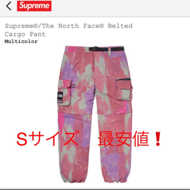 ワークパンツ/カーゴパンツsupreme the north face cargo pants