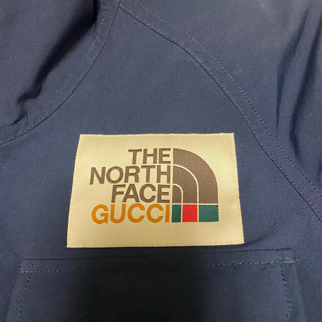 Gucci(グッチ)の中古美品　Lサイズ　GUCCI× THE NORTH FACE  jacket メンズのジャケット/アウター(マウンテンパーカー)の商品写真