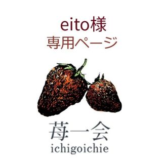 eito様専用ページ★(はんこ)