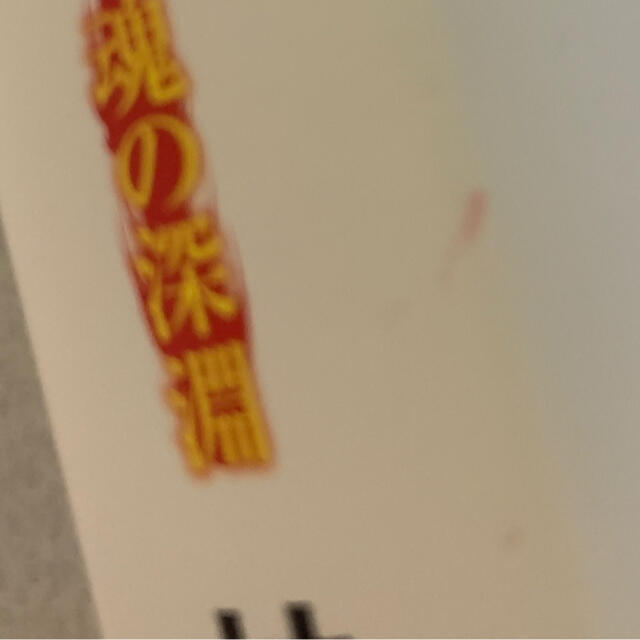 角川書店(カドカワショテン)の心霊探偵八雲12 魂の深淵 エンタメ/ホビーの本(文学/小説)の商品写真