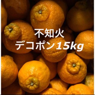 広島県産　不知火　デコポン 15kg  訳あり(フルーツ)