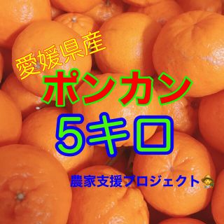 ポンカン5キロ レモンつき！(フルーツ)