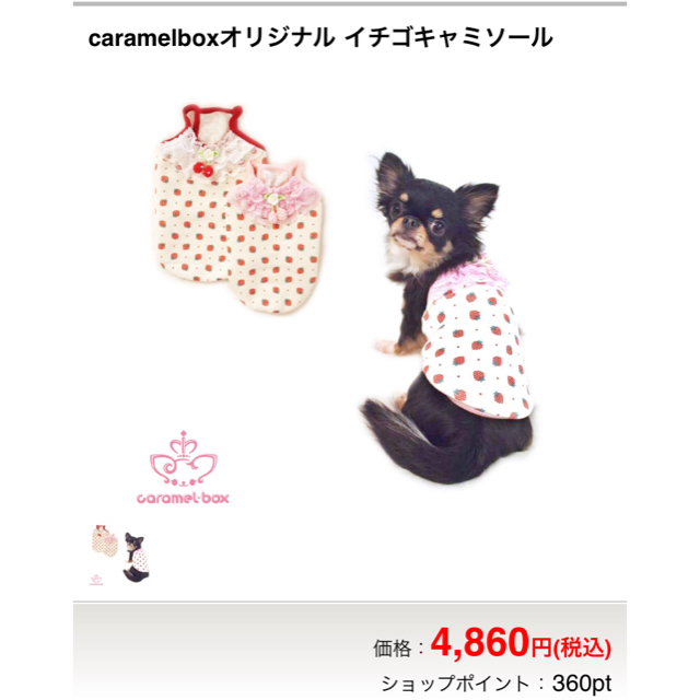 犬服 キャラメルボックス  SS ハンドメイドのペット(ペット服/アクセサリー)の商品写真