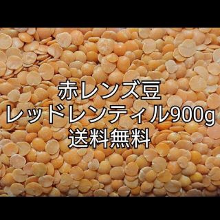 レッドレンティル900g/Red Lentil・赤レンズ豆・乾燥豆(米/穀物)