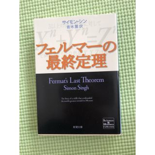 フェルマ－の最終定理(文学/小説)