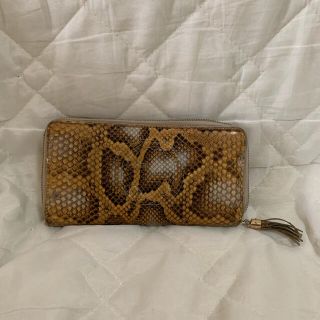 グッチ(Gucci)のGUCCI パイソン長財布(長財布)