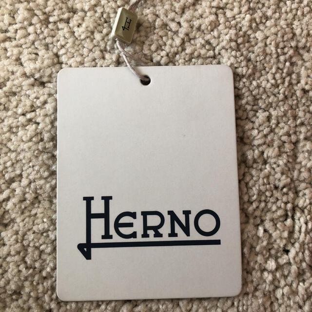 HERNO(ヘルノ)のHERNO ヘルノ ダウンコート　PI0977D 12170 レディースのジャケット/アウター(ダウンコート)の商品写真
