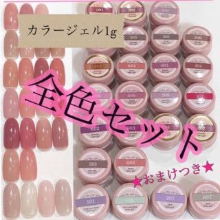 maogel 19色セットおまけ付