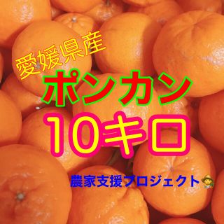 ポンカン10キロ  レモン付き！(フルーツ)