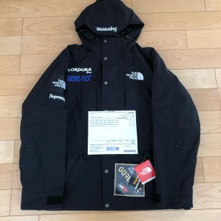 シュプリーム(Supreme)のSupreme The North Face Expedition L  国内(マウンテンパーカー)