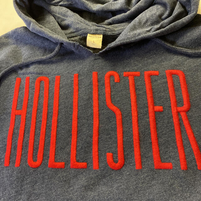 Hollister(ホリスター)のホリスター　フードトレーナー　SIZE Ｌ メンズのトップス(パーカー)の商品写真