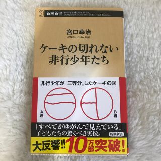 ケーキの切れない非行少年たち(その他)