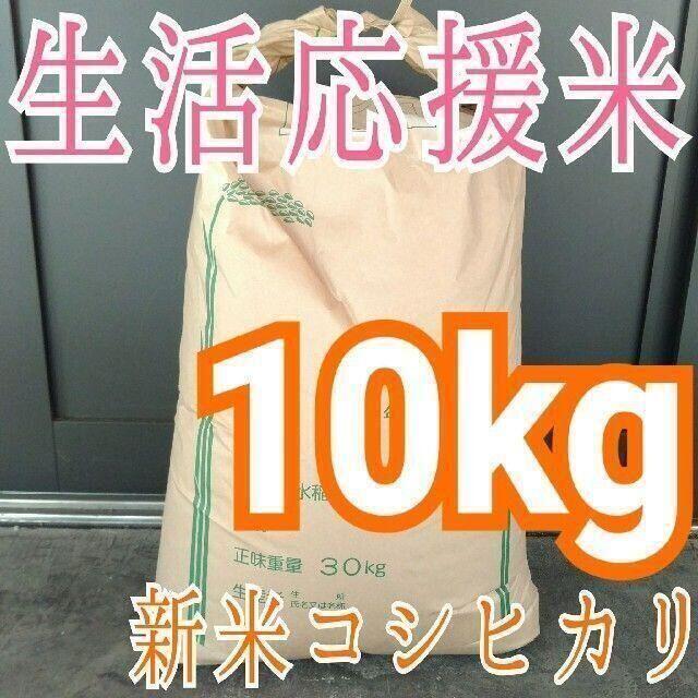 無洗米OK 令和2年 埼玉県産 新米コシヒカリ 白米 10kg 精米料込み