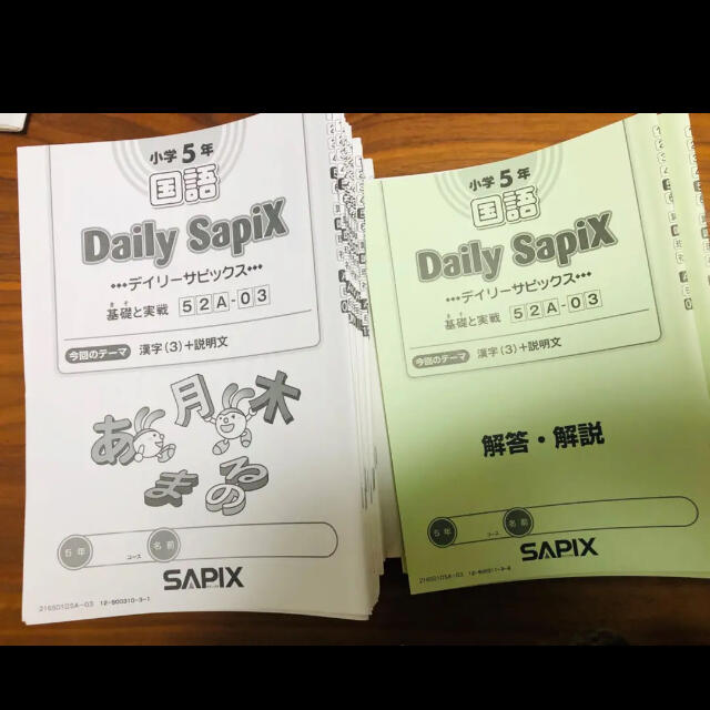 サピックス SAPIX 5年生　小5 国語　テキスト　一年分 | フリマアプリ ラクマ