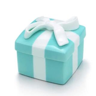 ティファニー(Tiffany & Co.)のTiffany 小物入れ (小物入れ)