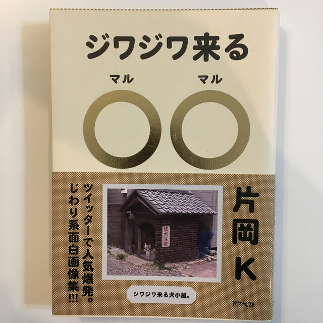 ジワジワ来る〇〇 思わず二度見しちゃう面白画像集 エンタメ/ホビーの本(アート/エンタメ)の商品写真