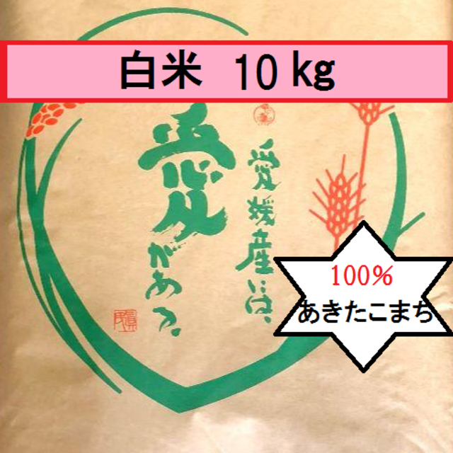 お米　令和2年　愛媛県産あきたこまち　白米　10㎏ 食品/飲料/酒の食品(米/穀物)の商品写真