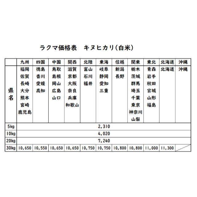 お米　令和2年　愛媛県産キヌヒカリ　白米　5㎏ 食品/飲料/酒の食品(米/穀物)の商品写真