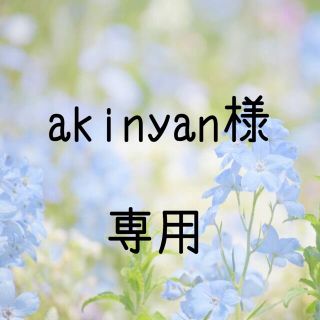 akinyan様専用  お米　令和2年　愛媛県産キヌヒカリ　白米　30㎏(米/穀物)