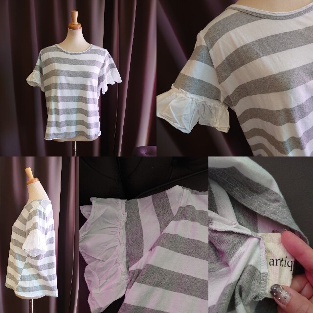 antiqua(アンティカ)のUS31 新品同様 antiqua ボーダー Tシャツ グレー 袖フリル 綿 レディースのトップス(Tシャツ(半袖/袖なし))の商品写真