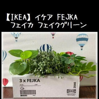 イケア(IKEA)の3個セット【IKEA】イケア　FEJKA フェイカ 人工観葉植物ー(置物)