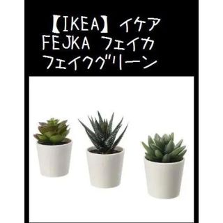 イケア(IKEA)の3個セット【IKEA】イケア　 FEJKA フェイカ　人工観葉植物(その他)