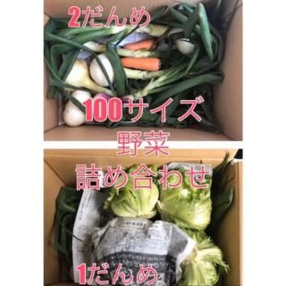 福岡県産★栽培期間中農薬不使用または減農薬　野菜詰合せ　100サイズ(野菜)