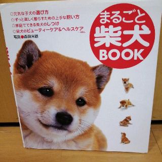 まるごと柴犬ｂｏｏｋ(住まい/暮らし/子育て)