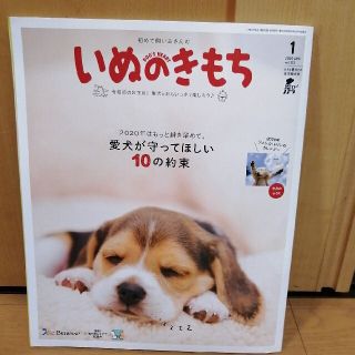 いぬのきもち　2020年1月号　ベネッセ(その他)