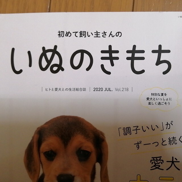 いぬのきもち　2020年7月号　付録付き　ベネッセ エンタメ/ホビーの雑誌(その他)の商品写真