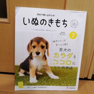 いぬのきもち　2020年7月号　付録付き　ベネッセ(その他)