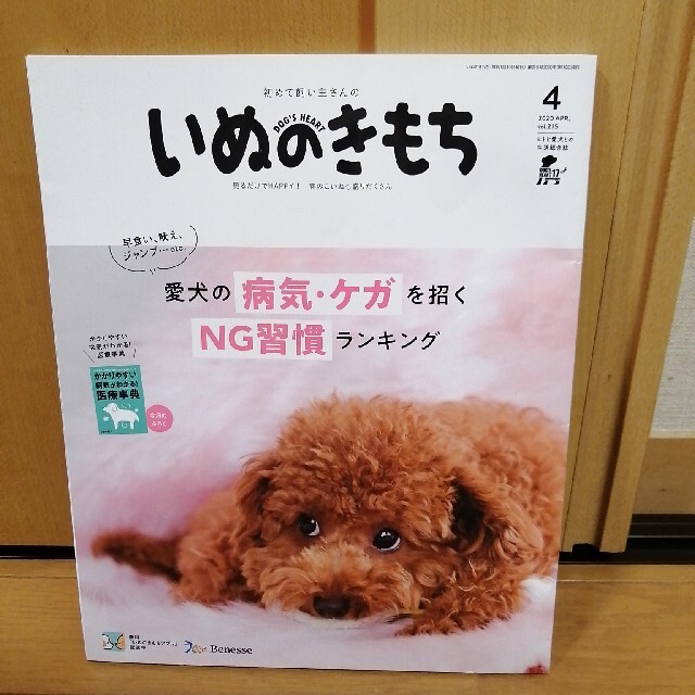 いぬのきもち　2020年4月号　付録なし　ベネッセ エンタメ/ホビーの雑誌(その他)の商品写真