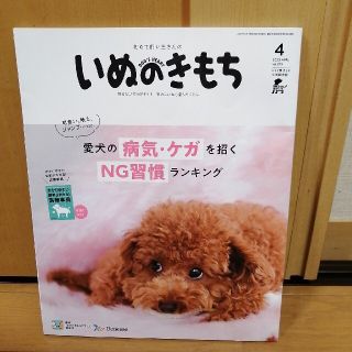 いぬのきもち　2020年4月号　付録なし　ベネッセ(その他)