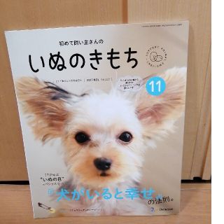 いぬのきもち　2020年11月号　付録なし　ベネッセ(その他)